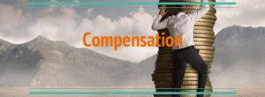 Compensation & Benefit System
